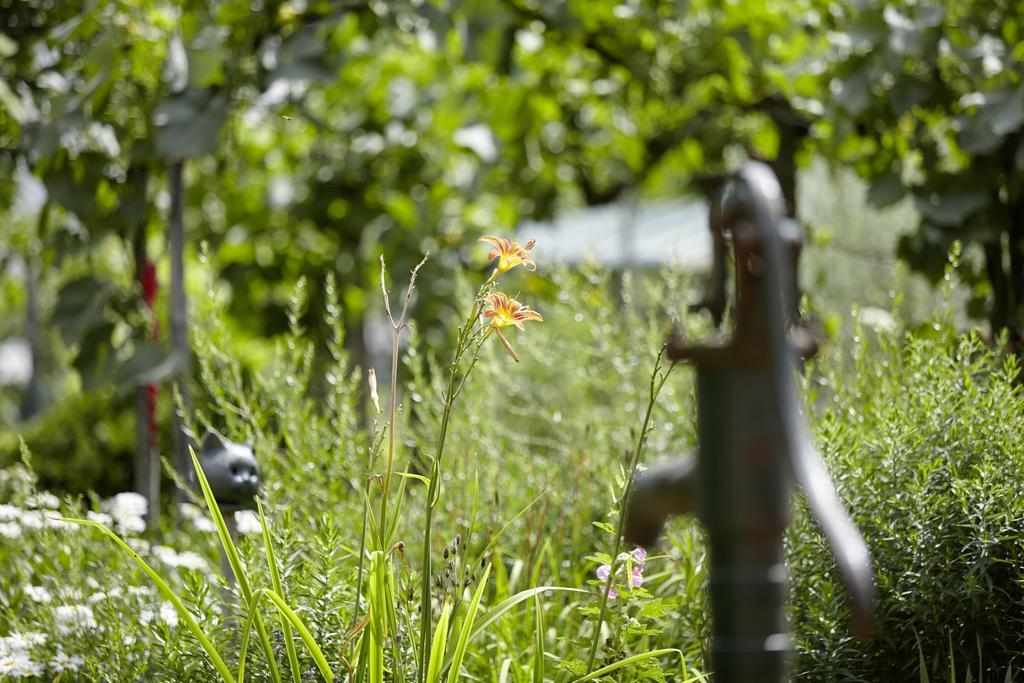 An Der Oelmuehle Kenn Extérieur photo
